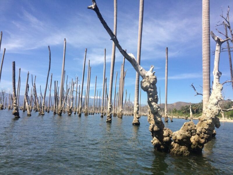 Barahona: Lake Enriquillo Discovery Tour - Final Thoughts