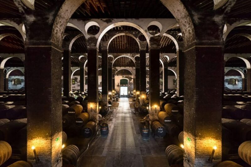 Barbadillo Winery Guided Tour in Cadiz with Wine Tasting - Key Points