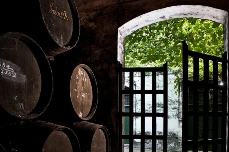 Barbadillo Winery Guided Tour in Cadiz with Wine Tasting - Deep Dive: Why This Experience Offers Real Value