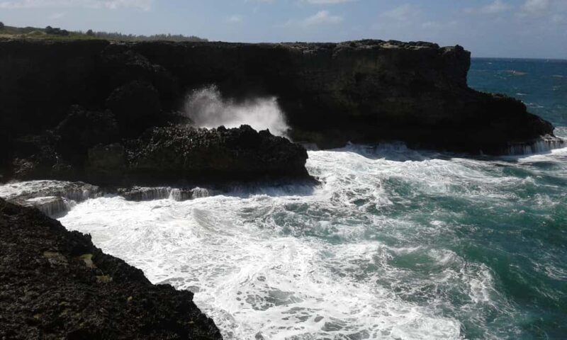 Barbados: 4 Hour Private Customized Island Tour - Key Points