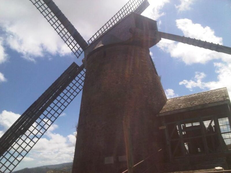 Barbados: 5.5-Hour Island Tour Plantation, Lunch and Drinks - What We Loved and What to Consider