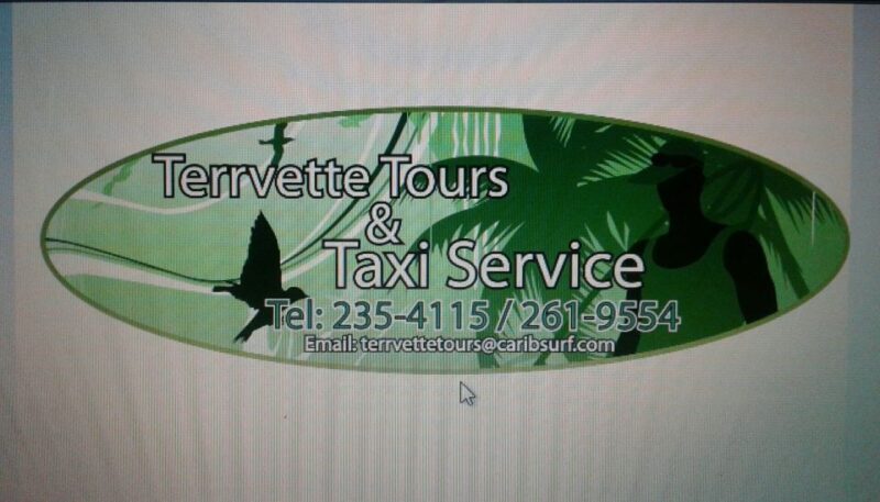 Barbados: 5.5-Hour Island Tour Plantation, Lunch and Drinks - Final Thoughts