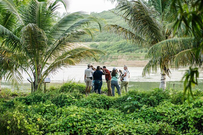 Barbados Bird Watching Experience (Transport Included) - What Makes This Tour Stand Out?