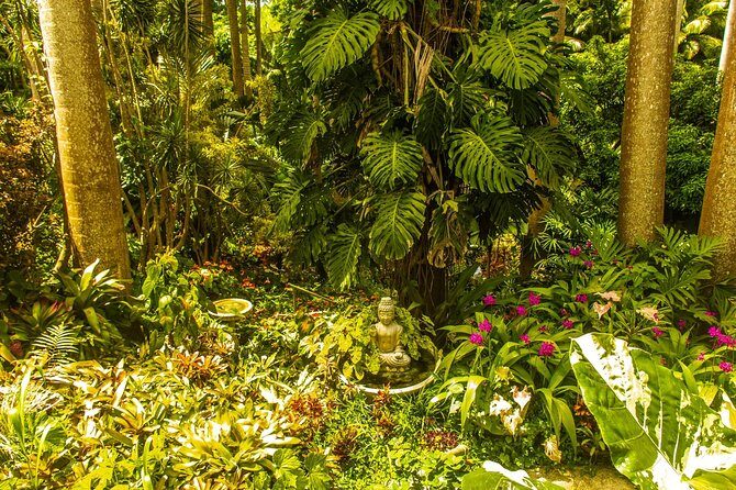 Barbados Botanical Tour - Who Should Consider This Tour?