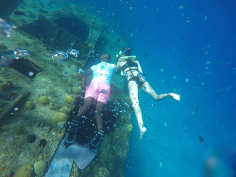 Barbados: Carlisle Bay Beach Day and Turtle Swim Experience - Key Points