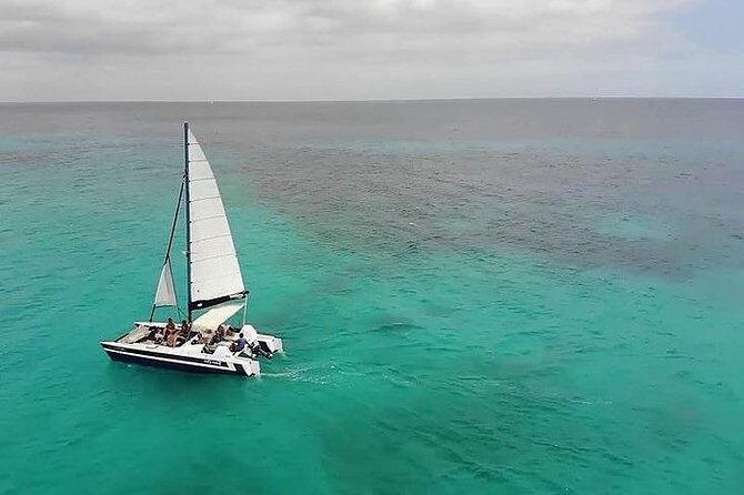 Barbados Catamaran Snorkel Cruise with Open Bar - Why This Tour Offers Good Value