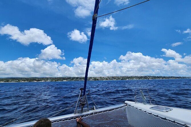 Barbados Catamaran Snorkeling Turtle and Shipwrecks tour - The Sum Up: Who Is This Tour Best For?