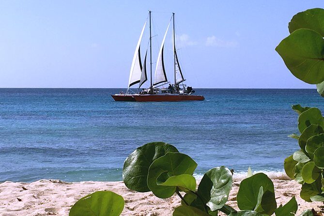 Barbados Catamaran Turtle and Shipwreck Snorkeling Cruise - Optional Extra: Lunch & Additional Stops