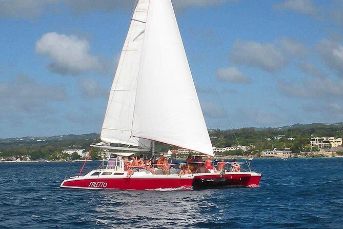 Barbados Catamaran Turtle Snorkel with Lunch and Open Bar - A Closer Look at Barbados’ Catamaran Turtle Snorkel Tour