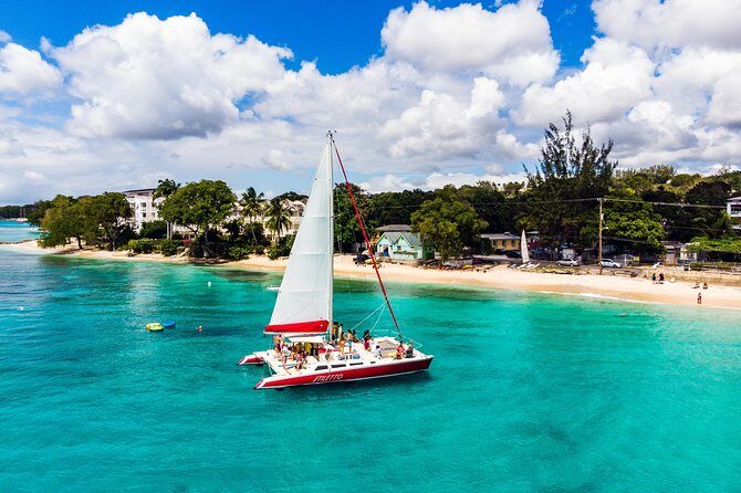 Barbados Catamaran Turtle Snorkel with Open Bar - Key Points
