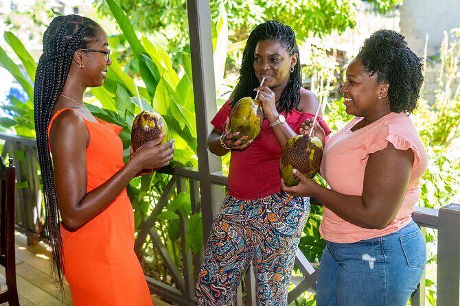 Barbados Fruit to Scoop Culinary Experience : Taste & Make Sorbet - The Itinerary in Detail