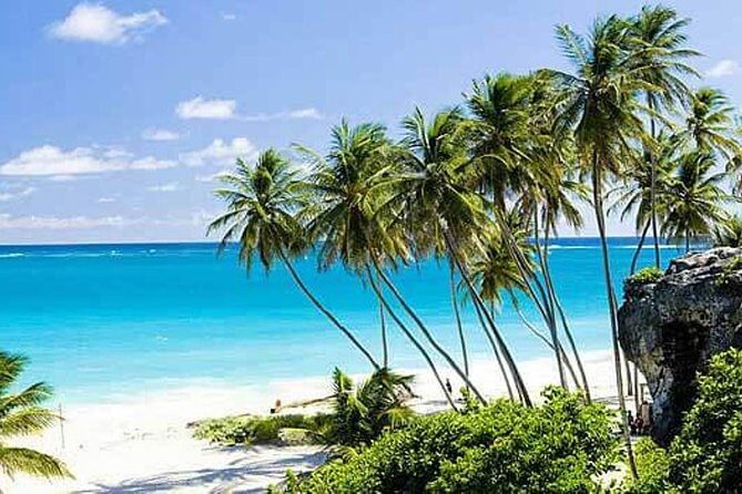 Barbados Full-day Coast to Coast Tour - Who Will Love This Tour?