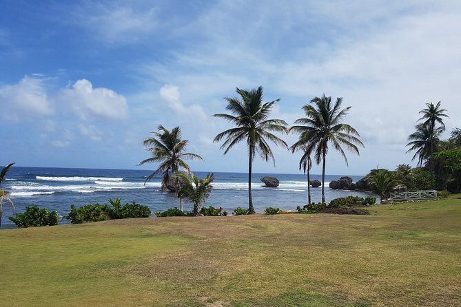 Barbados Half Day Coastal Sightseeing Private Tour - The Sum Up