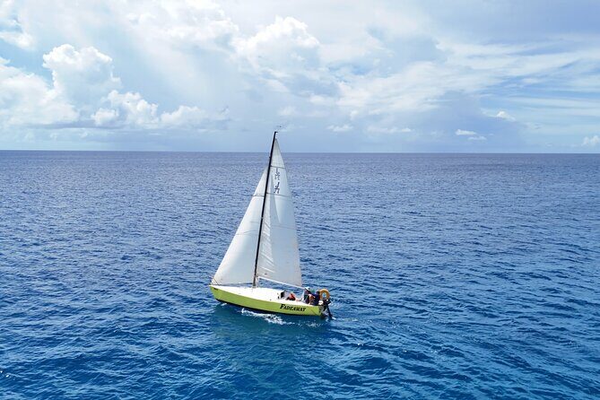 Barbados: Half-Day Private Charter on a J/24 Racing Sailboat - Key Points