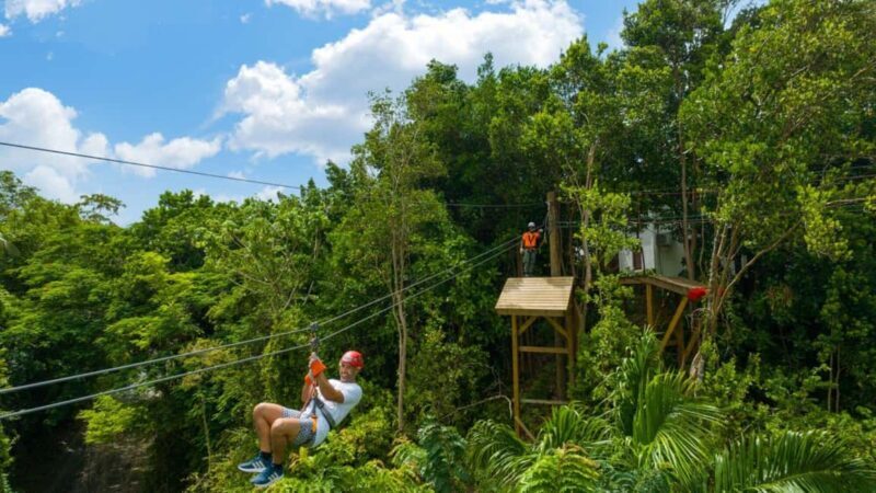 Barbados: Harrison's Cave Adventure Park Pass - A Full-Day Adventure at Harrison’s Cave Eco-Adventure Park