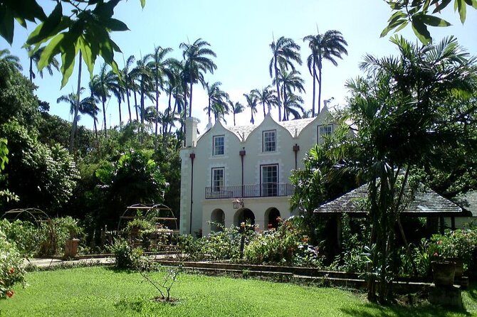 Barbados Harrison's Cave and St Nicolas Abbey Tour - A Deep Dive into the Experience