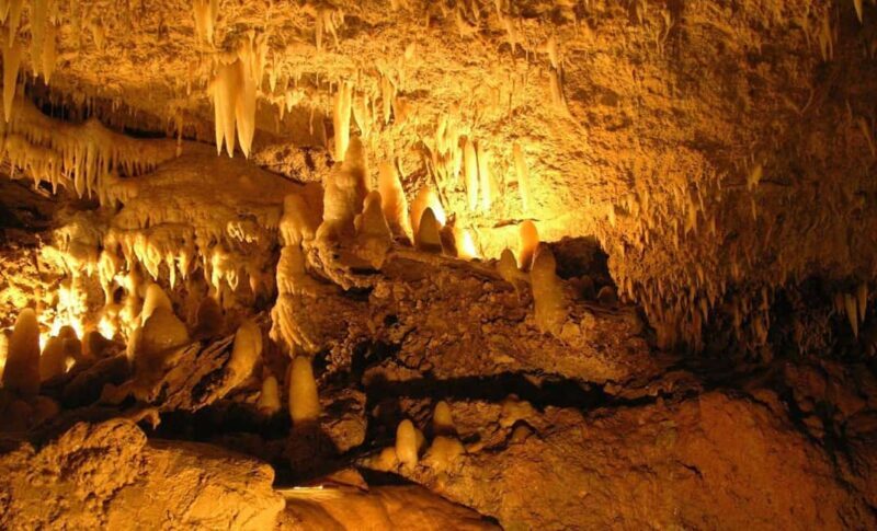 Barbados: Harrisons Cave & Huntes Gardens Tour - Practical Details and What to Expect