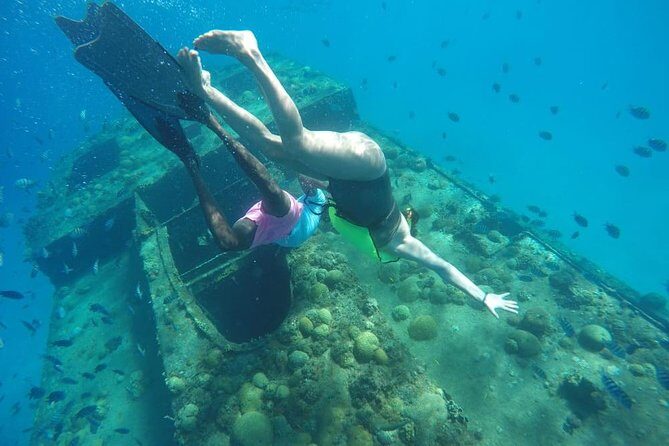 Barbados Harrison's Cave Tram Tour and Boat Cruise Snorkel Adventure - What the Reviews Say