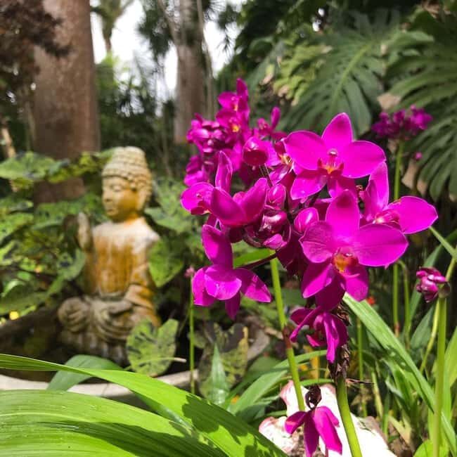 Barbados: Hunte's Garden, Artisan Studios, and Beach Tour - Key Points