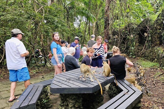 Barbados Private Island Tour: A Fully Customizable Experience - Exploring the Heart of Barbados: A Deep Dive