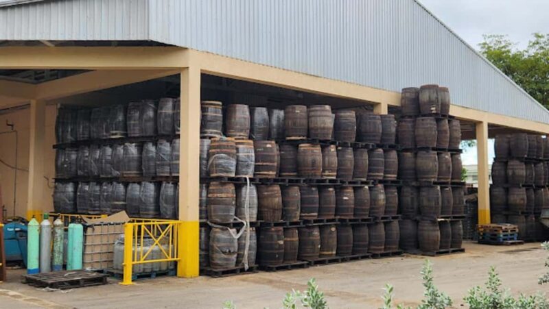 Barbados: Rum Distillery Tour with Tastings - What You’ll Experience: A Detailed Look