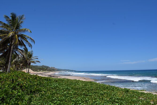 Barbados Shore Excursion: Barbados Surf & Turf - A Closer Look at the Barbados Surf & Turf Tour