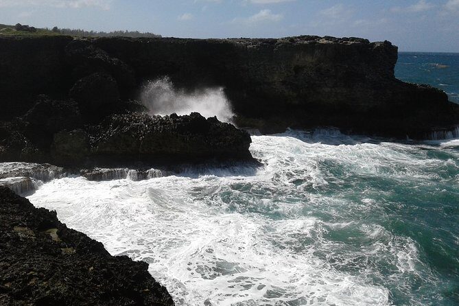 Barbados "Sweet Deal" Scenic Tour - Barbados "Sweet Deal" Scenic Tour: A Genuine Taste of the Island’s Natural Beauty