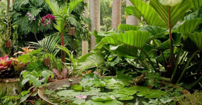 Barbados: Tour of Harrison's Cave & Hunte's Gardens - Key Points