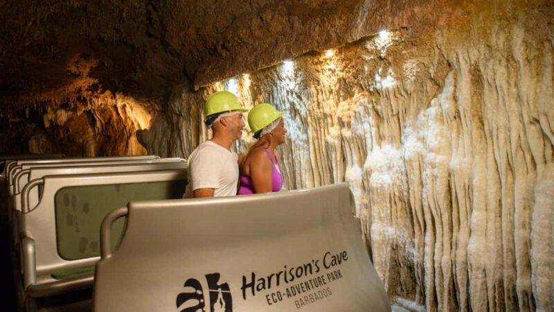 Barbados: Trail, Tram & Rum Experience - Practical Details and Tips