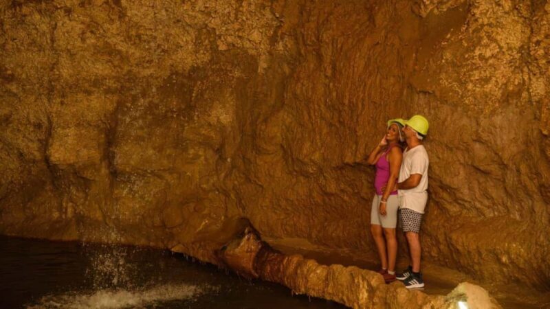 Barbados: Trail, Tram & Rum Experience - The Sum Up