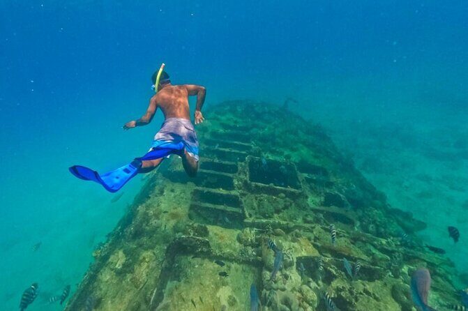 Barbados Wreck Explorers - Barbados Wreck Explorers: Discover Underwater History and Marine Life