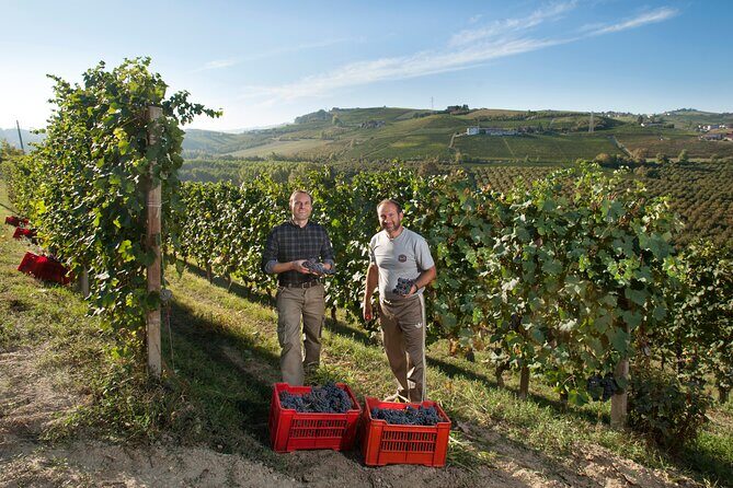 Barbaresco and Barolo Tasting at Cantina Francone - FAQ