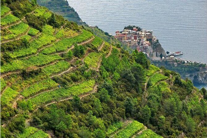 BarCa Winery Cinqueterre Trekking & Wine Tasting & Pesto Class - Exploring the Details: What Makes the Experience Special