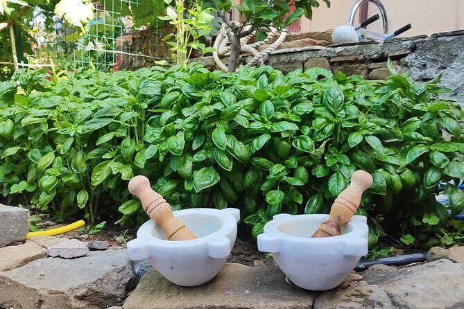 BarCa Winery Cinqueterre Trekking & Wine Tasting & Pesto Class - The Value of This Experience
