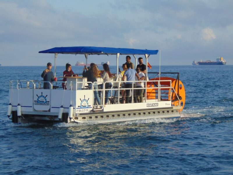 Barcelona: 1.5-Hour Private Scenic Pedal Boat Tour - The Sum Up