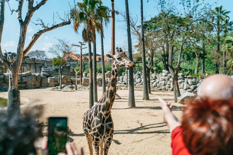 Barcelona: 1-Day Ticket to Barcelona Zoo - The Sum Up