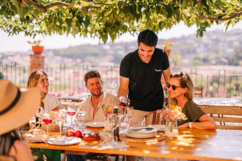 Barcelona: Alella Wine Tour with Tasting & Vineyard Picnic - An In-Depth Look at the Alella Wine Tour Experience