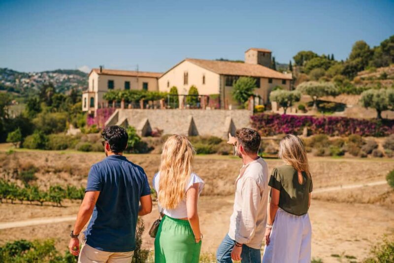 Barcelona: Alella Wine Tour with Tasting & Vineyard Picnic - Final Thoughts