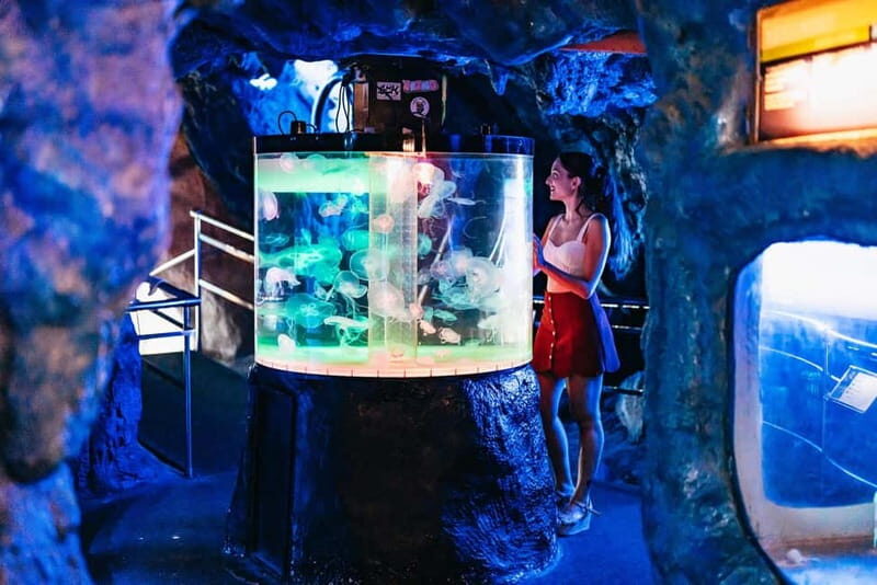 Barcelona Aquarium: Entry Ticket - An Honest, Practical Look at the Barcelona Aquarium