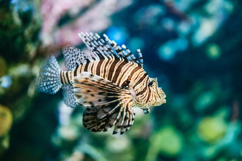Barcelona Aquarium: Entry Ticket - The Sum Up: Who Is the Barcelona Aquarium Perfect For?
