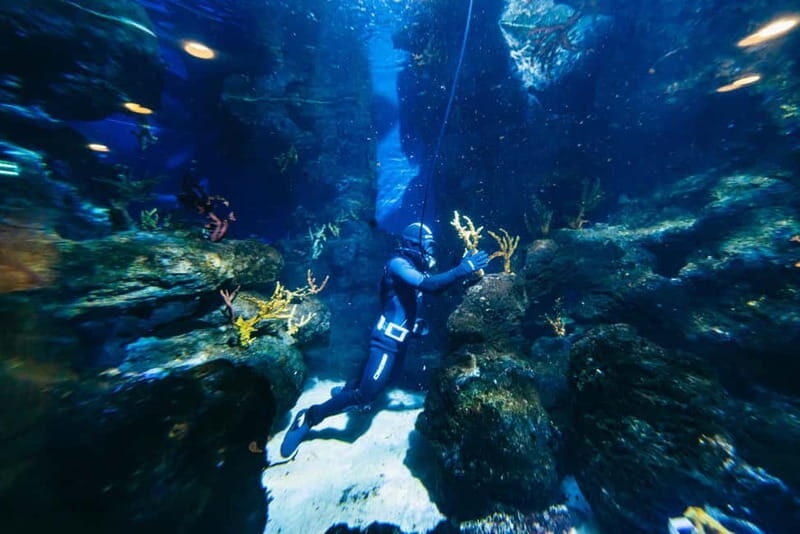 Barcelona Aquarium: Entry Ticket - Frequently Asked Questions (FAQ)