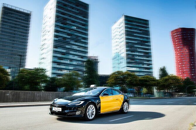 Barcelona Arrival Cruise Port to Airport private transfer - Who Will Love This Service?