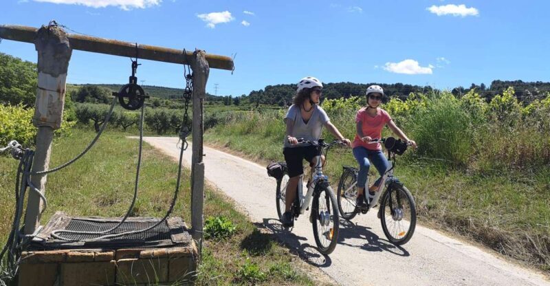 Barcelona: Bike & Wine Guided Tour - Penedès vineyards - An In-Depth Look at the Experience