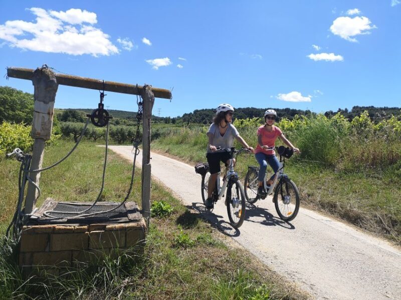 Barcelona: Bike & Wine Guided Tour - Penedès vineyards - The Sum Up
