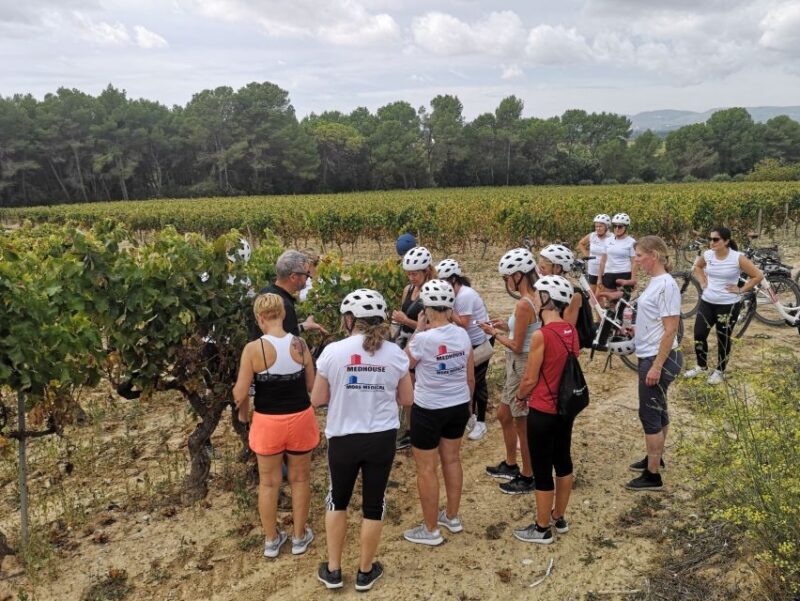 Barcelona: Bike & Wine Guided Tour - Penedès vineyards - FAQ