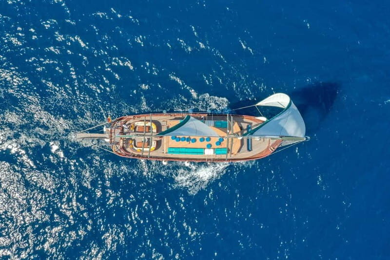 Barcelona: Boat and Supercar Driving Experience - Experience the Thrill of Barcelona’s Water and Wheels