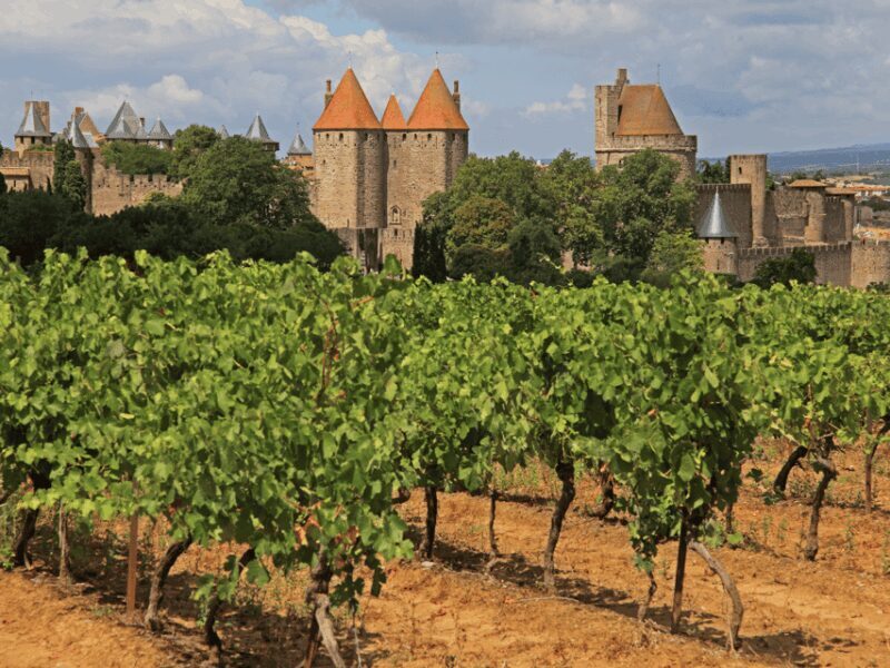 Barcelona: Carcassonne & Girona Tour - Key Points
