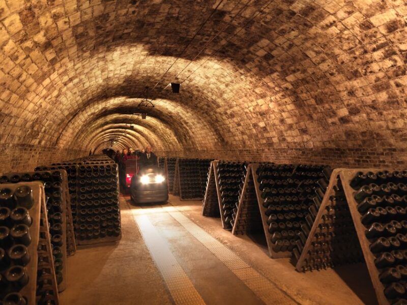 Barcelona: Casa Codorníu Guided Tour with Cava Tastings - Authentic Reviews and Travelers’ Perspectives