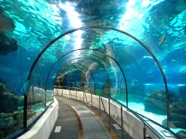 Barcelona City Tour Hop-On Hop-Off and Aquarium - Exploring Barcelona at Your Own Pace: The City Tour Hop-On Hop-Off with Aquarium