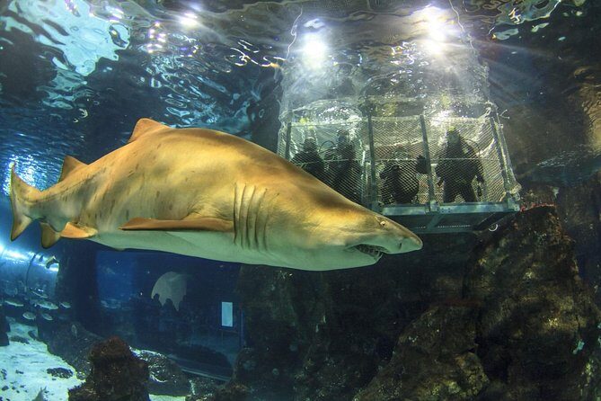 Barcelona City Tour Hop-On Hop-Off and Aquarium - Transportation and Group Size